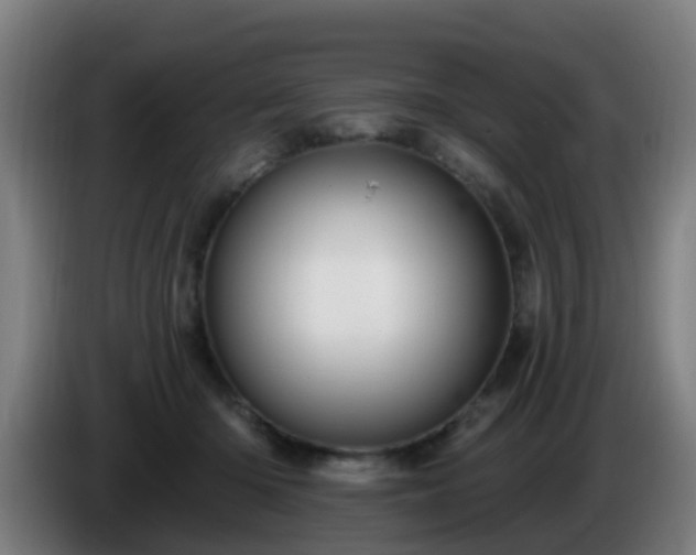 X0000086100414200703301219