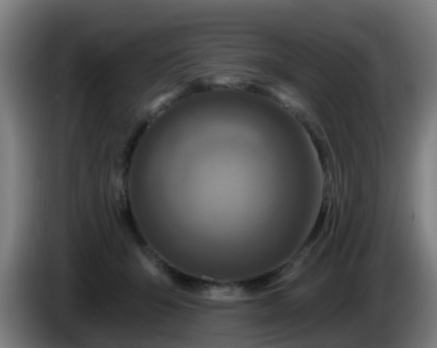X0000086100415200703301219