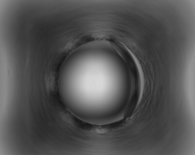 X0000086100416200703301219