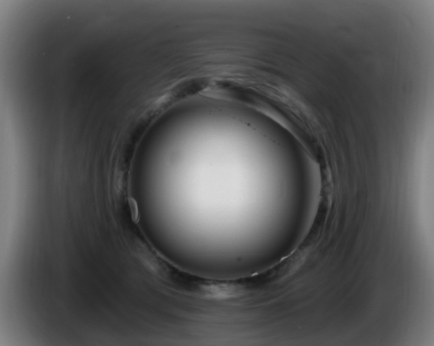 X0000086100417200703301219