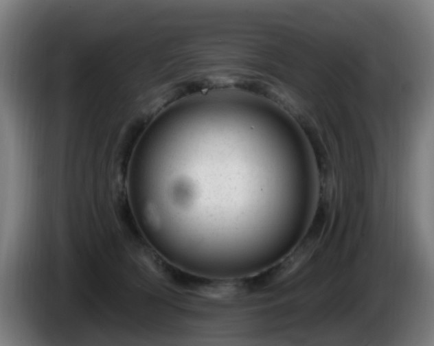 X0000086100418200703301219