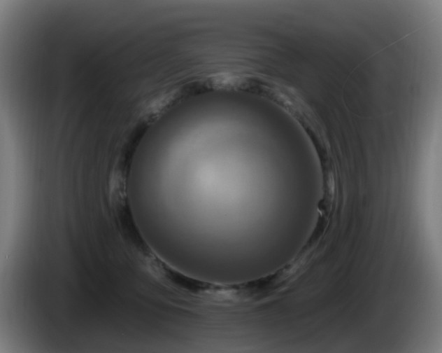 X0000086100419200703301219