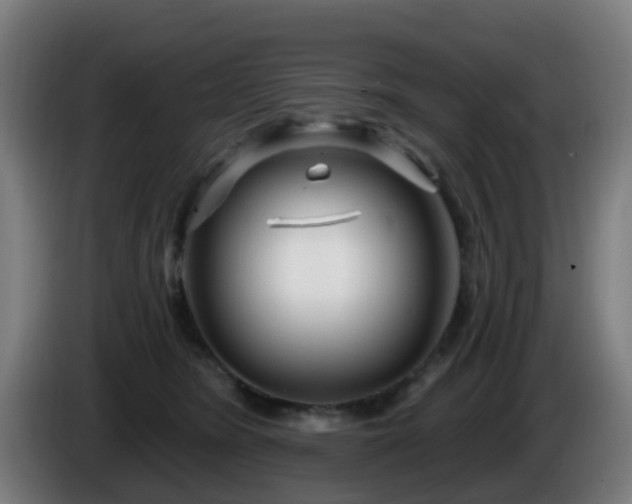 X0000086100420200703301219