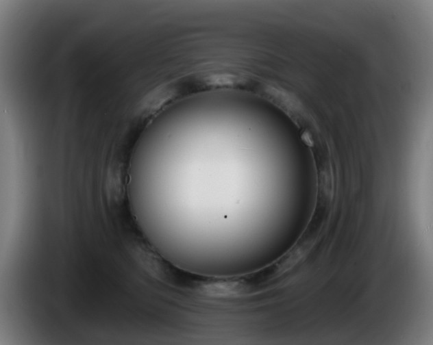 X0000086100422200703301219