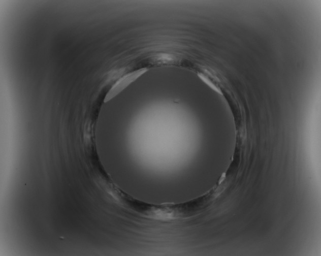 X0000086100423200703301219