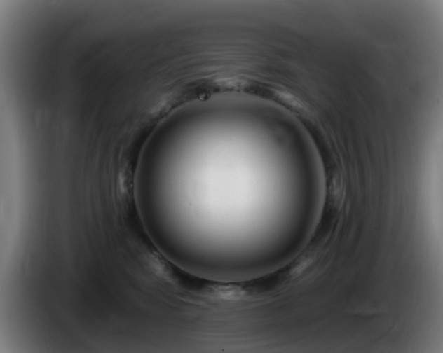 X0000086100424200703301219