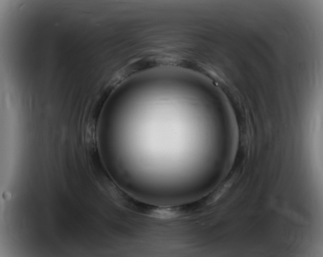 X0000086100425200703301219