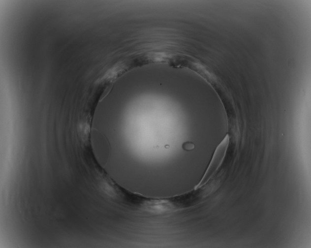 X0000086100427200703301219