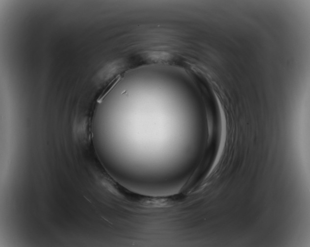 X0000086100428200703301219