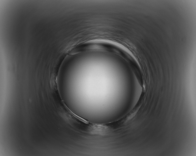 X0000086100429200703301219