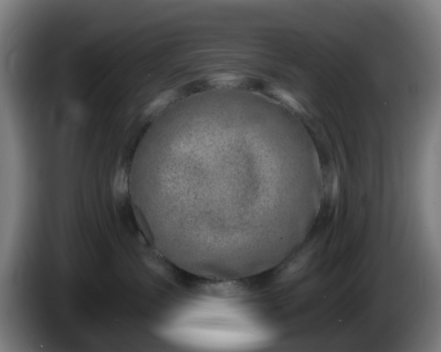 X0000086100431200703301219