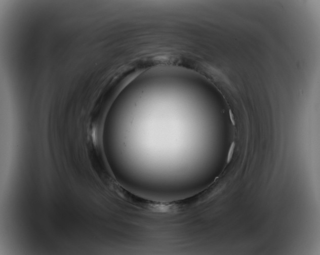 X0000086100432200703301219