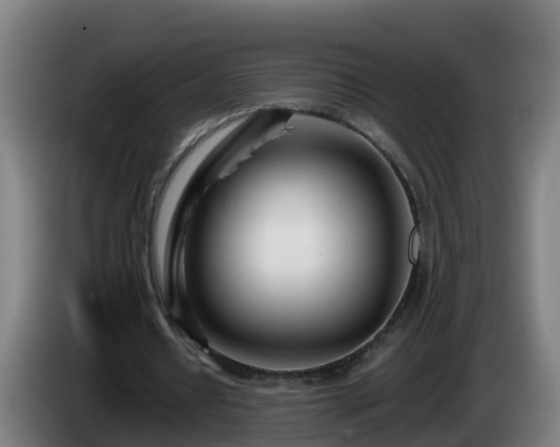 X0000086100434200703301218
