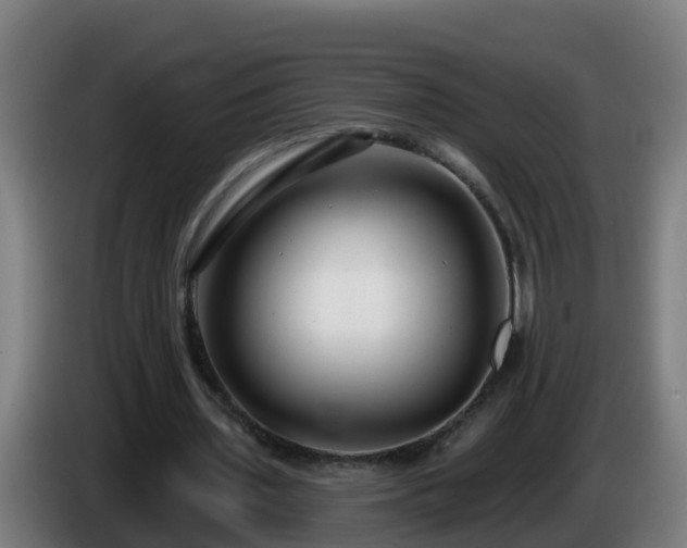 X0000086100435200703301218