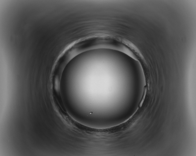 X0000086100436200703301218