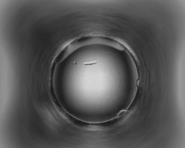 X0000086100437200703301218