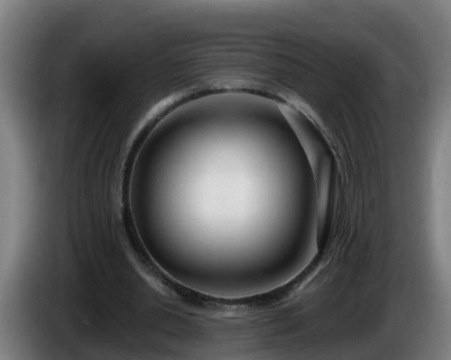 X0000086100438200703301218