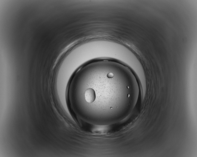X0000086100440200703301218