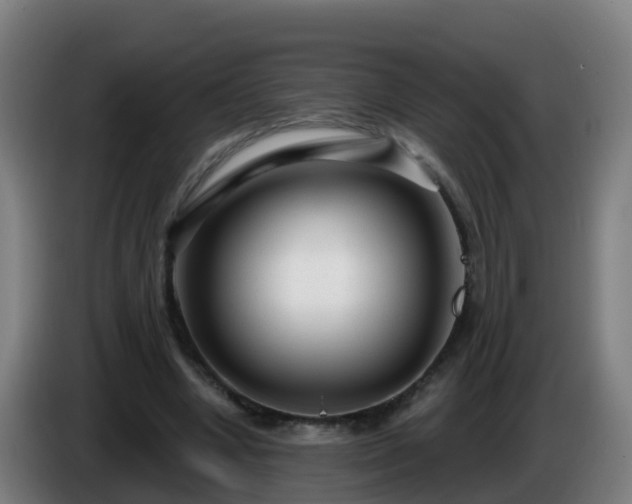 X0000086100442200703301218