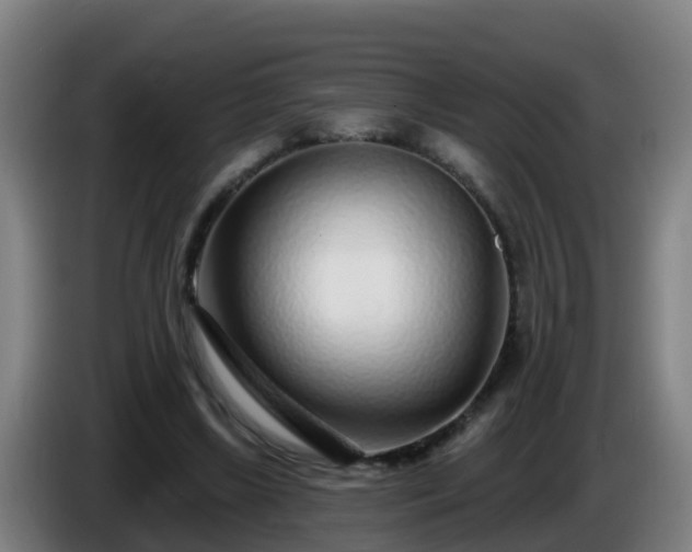 X0000086100443200703301218