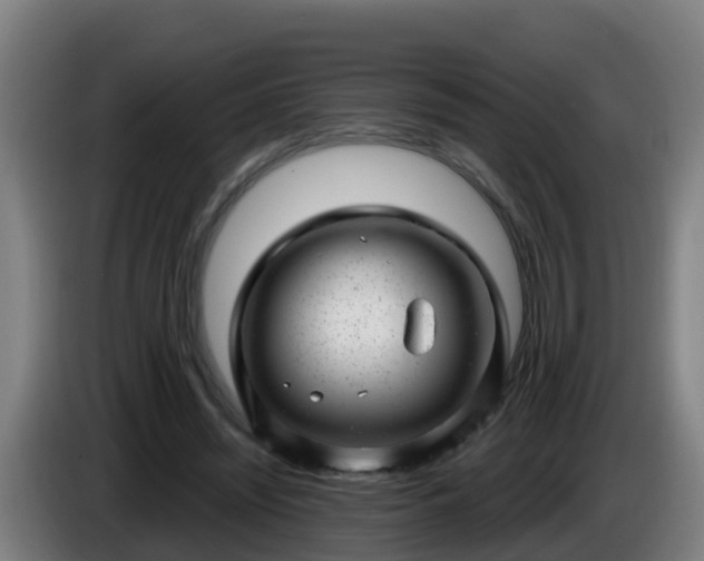 X0000086100444200703301218
