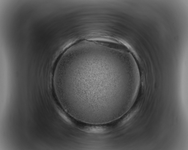 X0000086100445200703301218