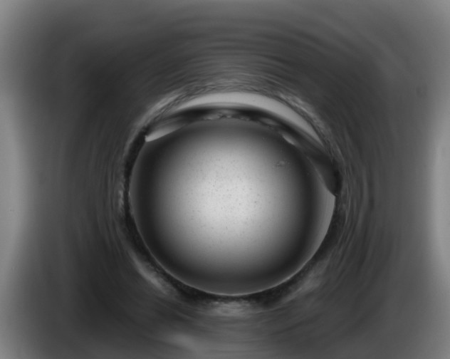 X0000086100446200703301218