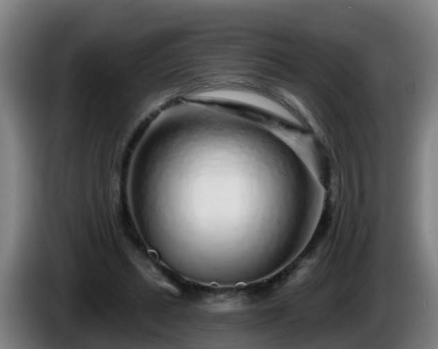 X0000086100447200703301218