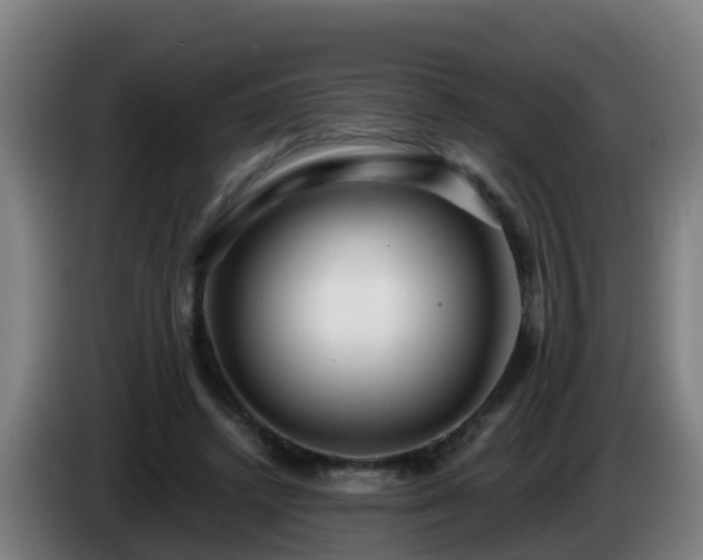 X0000086100448200703301218