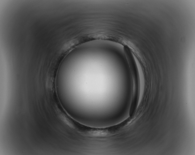 X0000086100449200703301218