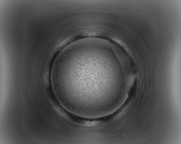 X0000086100450200703301218