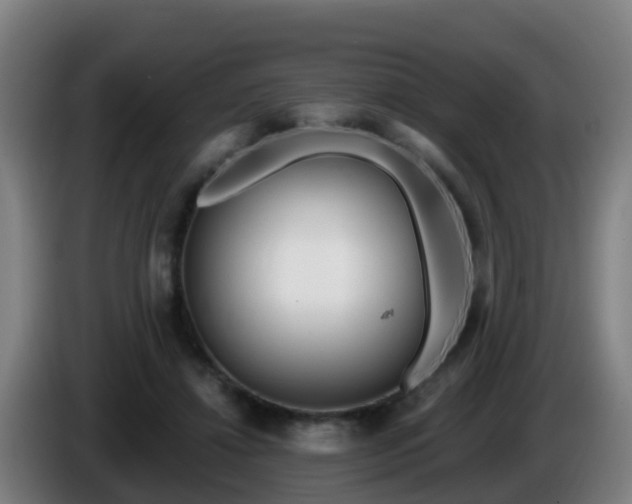 X0000086100452200703301218