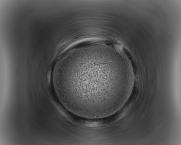 X0000086100454200703301218