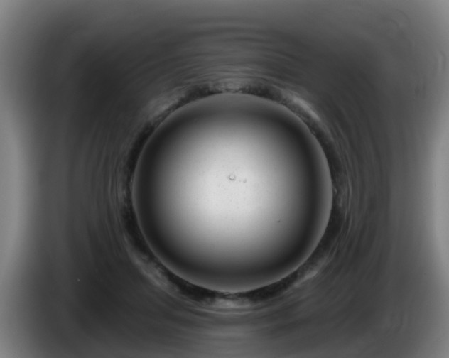 X0000086100455200703301218
