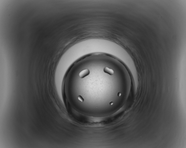 X0000086100456200703301218