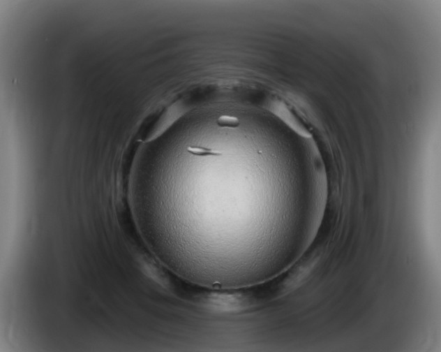 X0000086100457200703301218