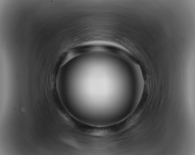 X0000086100458200703301218