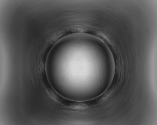X0000086100459200703301218