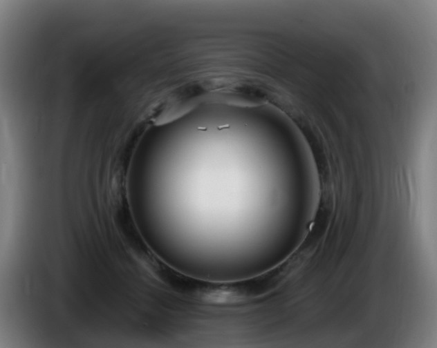 X0000086100460200703301218