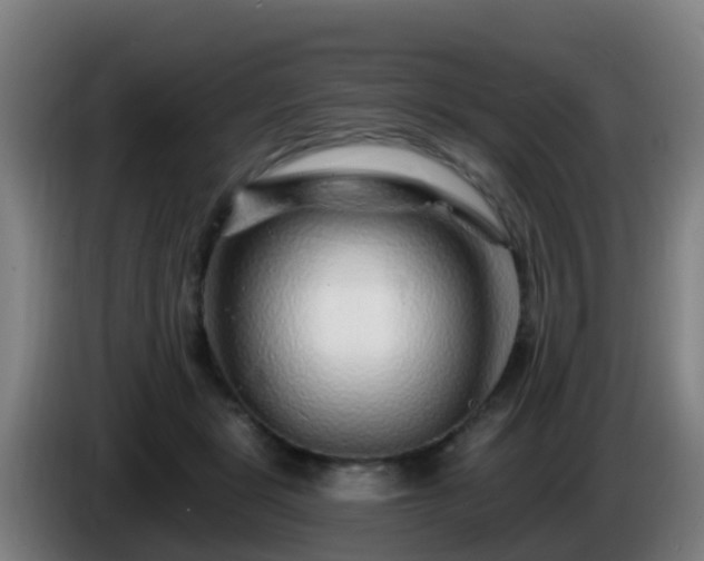 X0000086100461200703301218