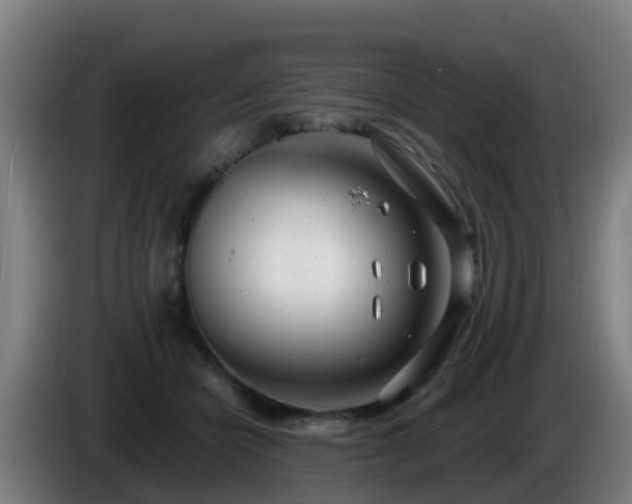 X0000086100462200703301218