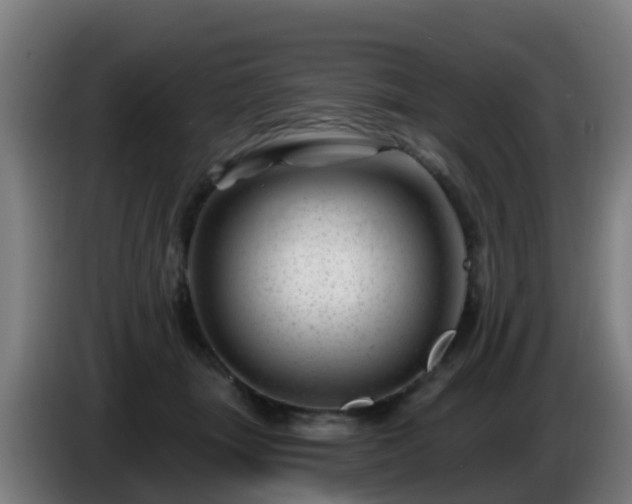 X0000086100463200703301218