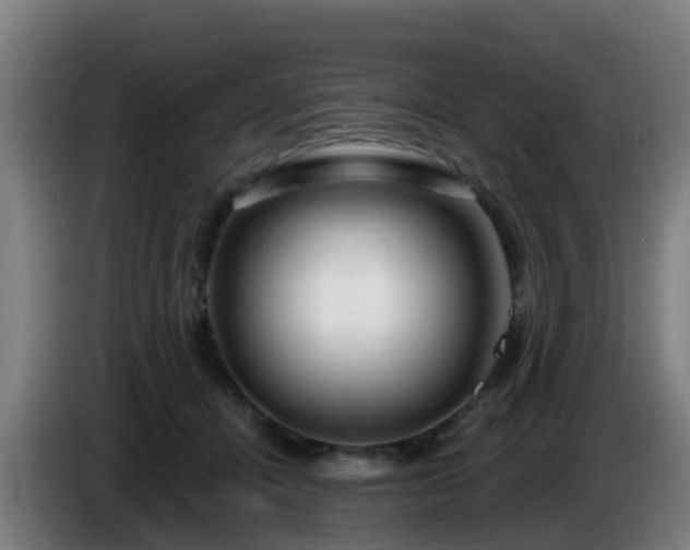 X0000086100464200703301218
