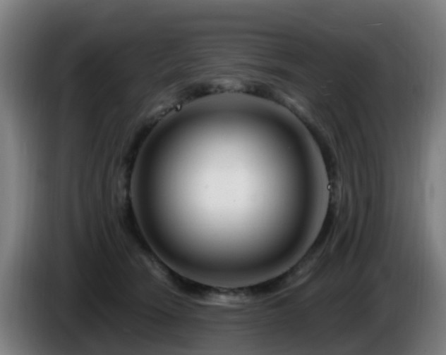 X0000086100466200703301218