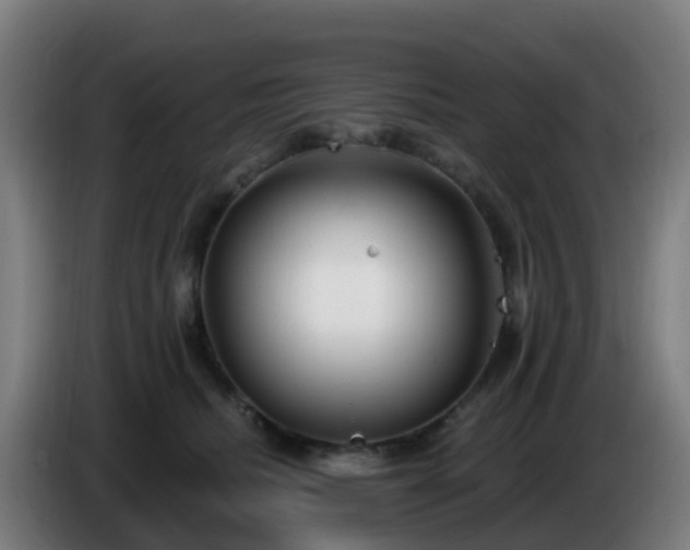 X0000086100468200703301218