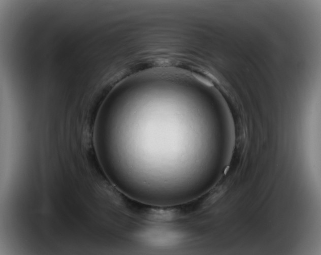 X0000086100469200703301218