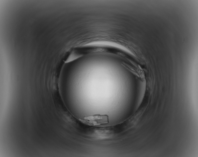 X0000086100470200703301218