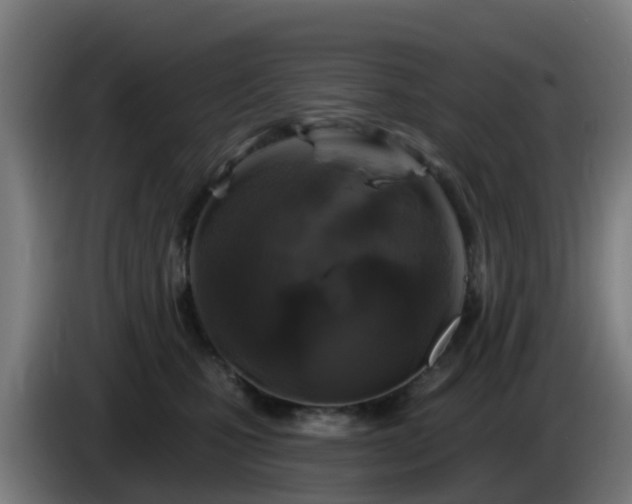X0000086100471200703301218