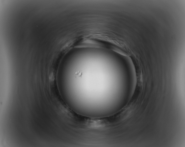 X0000086100472200703301218