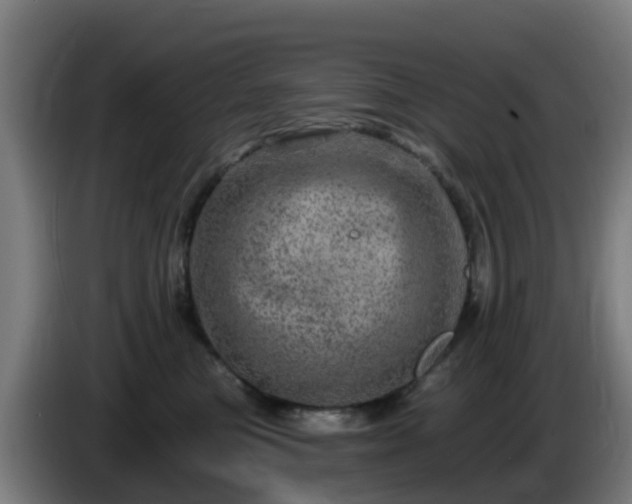 X0000086100473200703301218